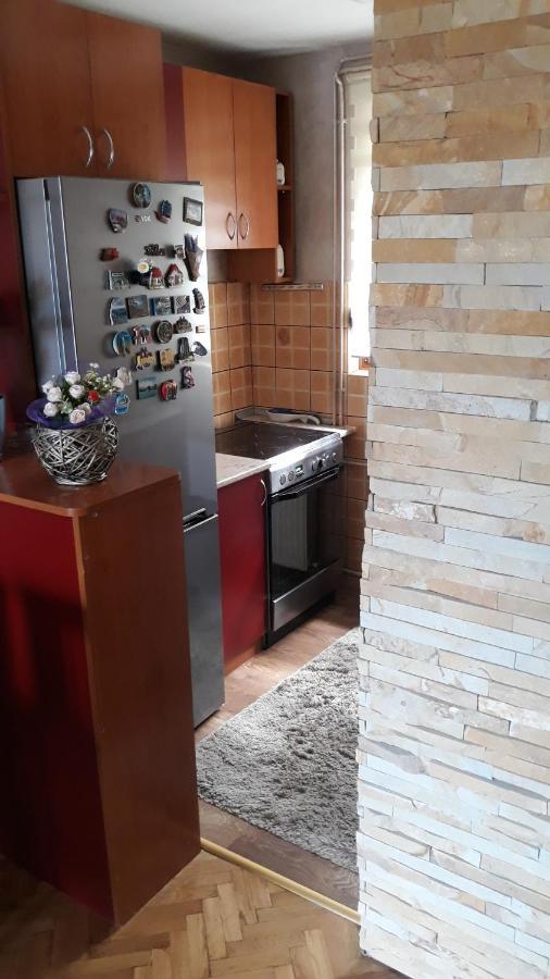 Apartment Niva Златибор Экстерьер фото
