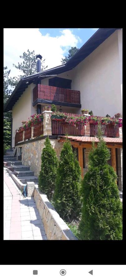 Apartment Niva Златибор Экстерьер фото